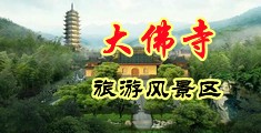 拔插免费在线观看视频中国浙江-新昌大佛寺旅游风景区
